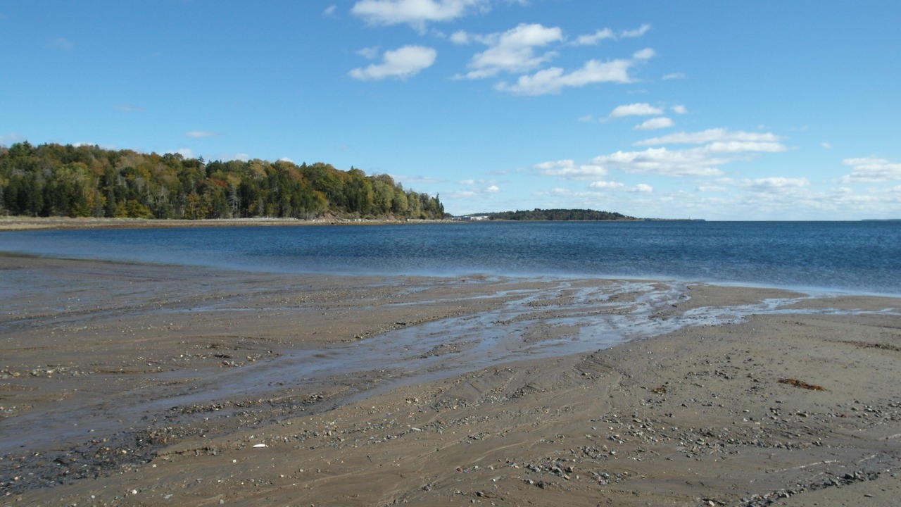 Photo of Others in Lunenburg
