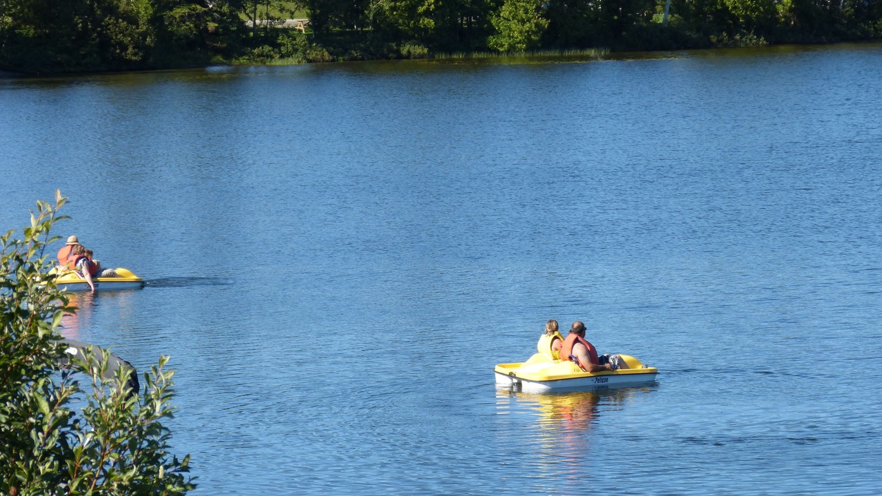 Photo of Others in Sayabec