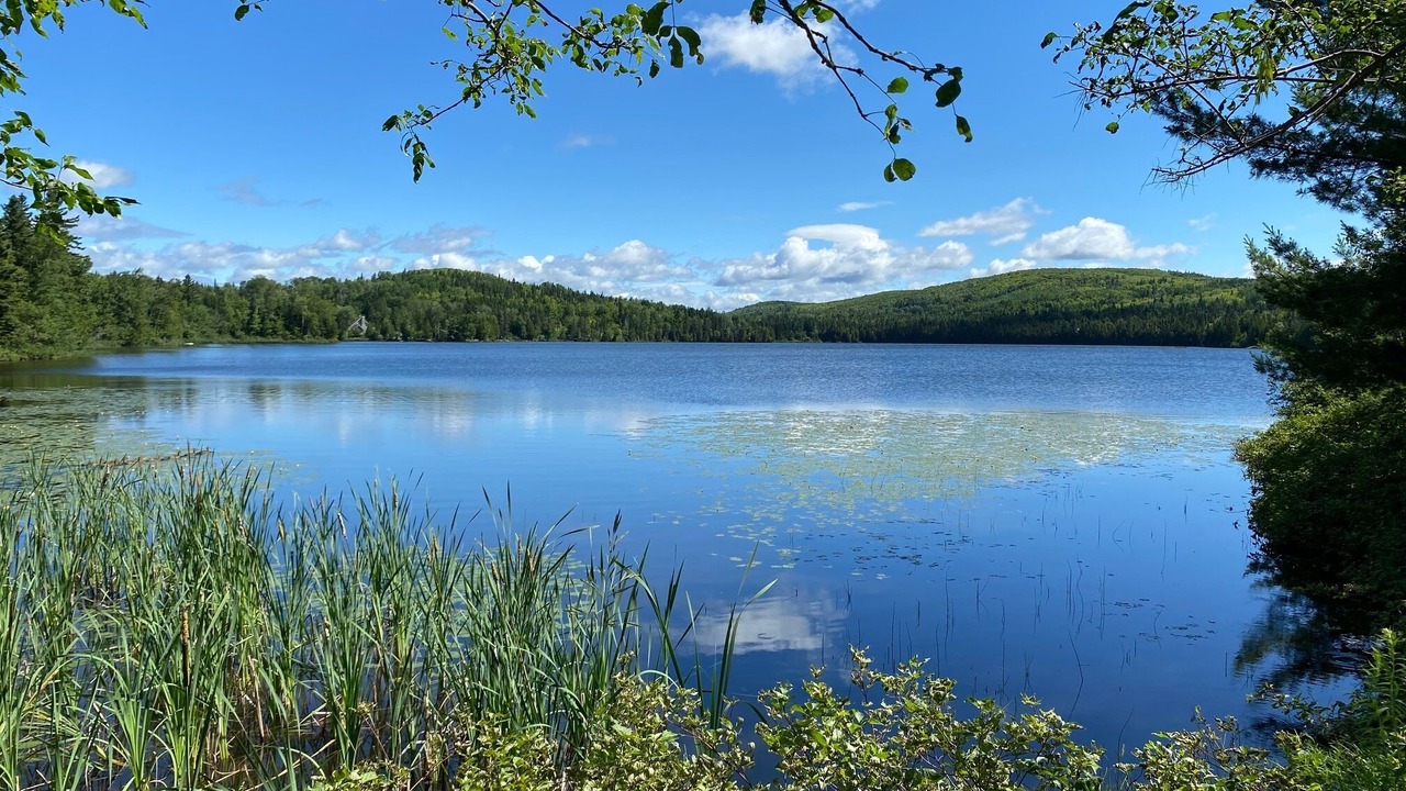 Photo of Outdoor in Sayabec