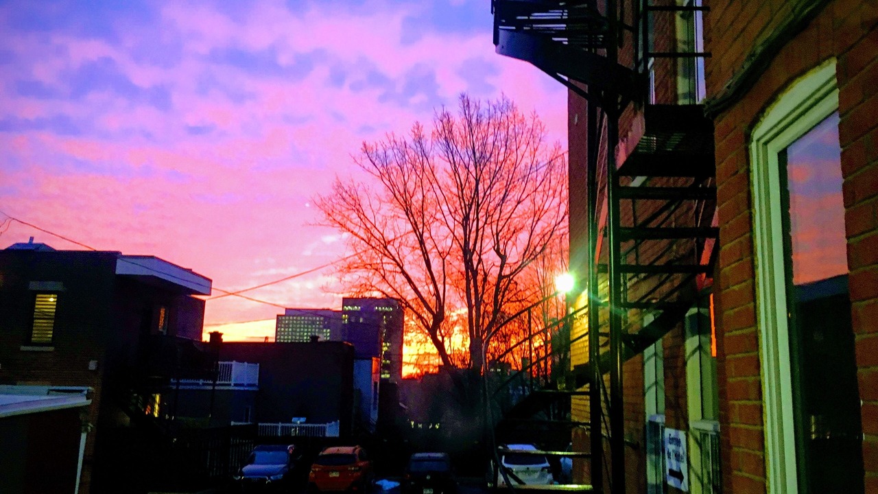 Photo of Outdoor in Quartier des Spectacles