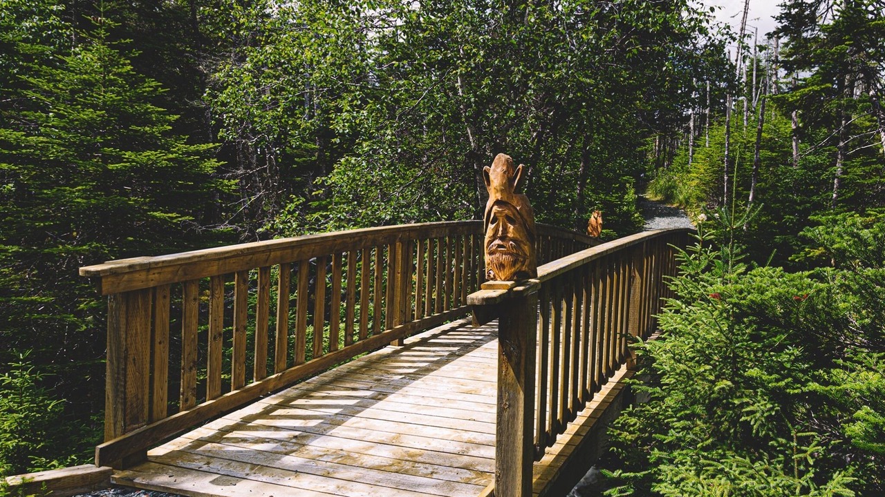 Photo of Outdoor in Mount Carmel-Mitchells Brook-St. Catherines