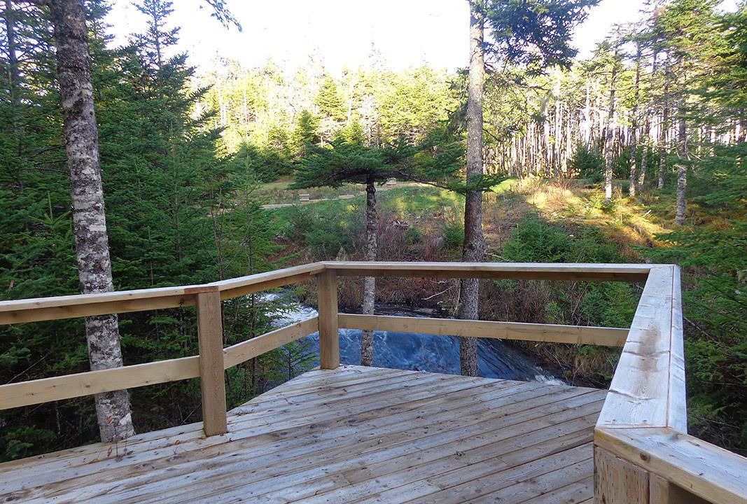 Photo of Outdoor in Mount Carmel-Mitchells Brook-St. Catherines