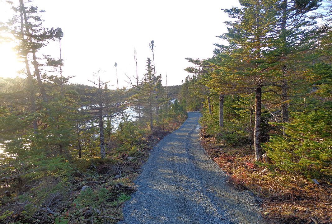 Photo of Outdoor in Mount Carmel-Mitchells Brook-St. Catherines