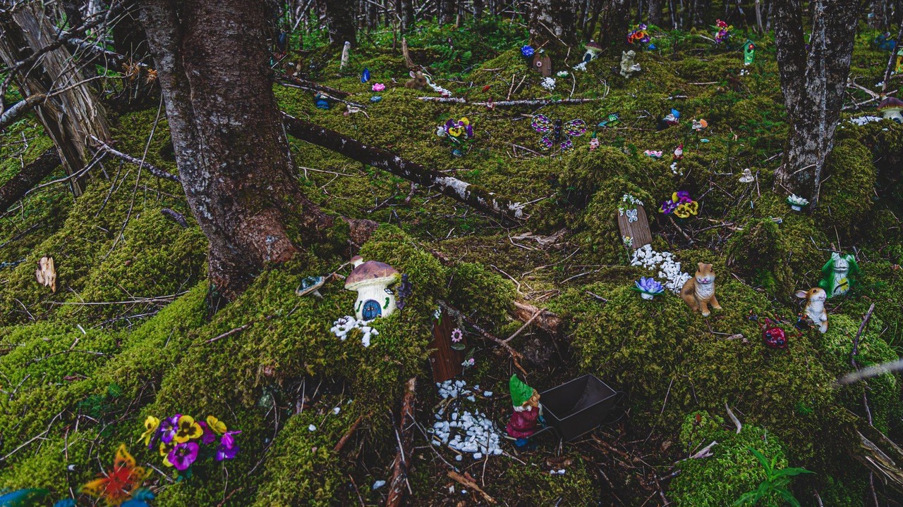Photo of Outdoor in Mount Carmel-Mitchells Brook-St. Catherines