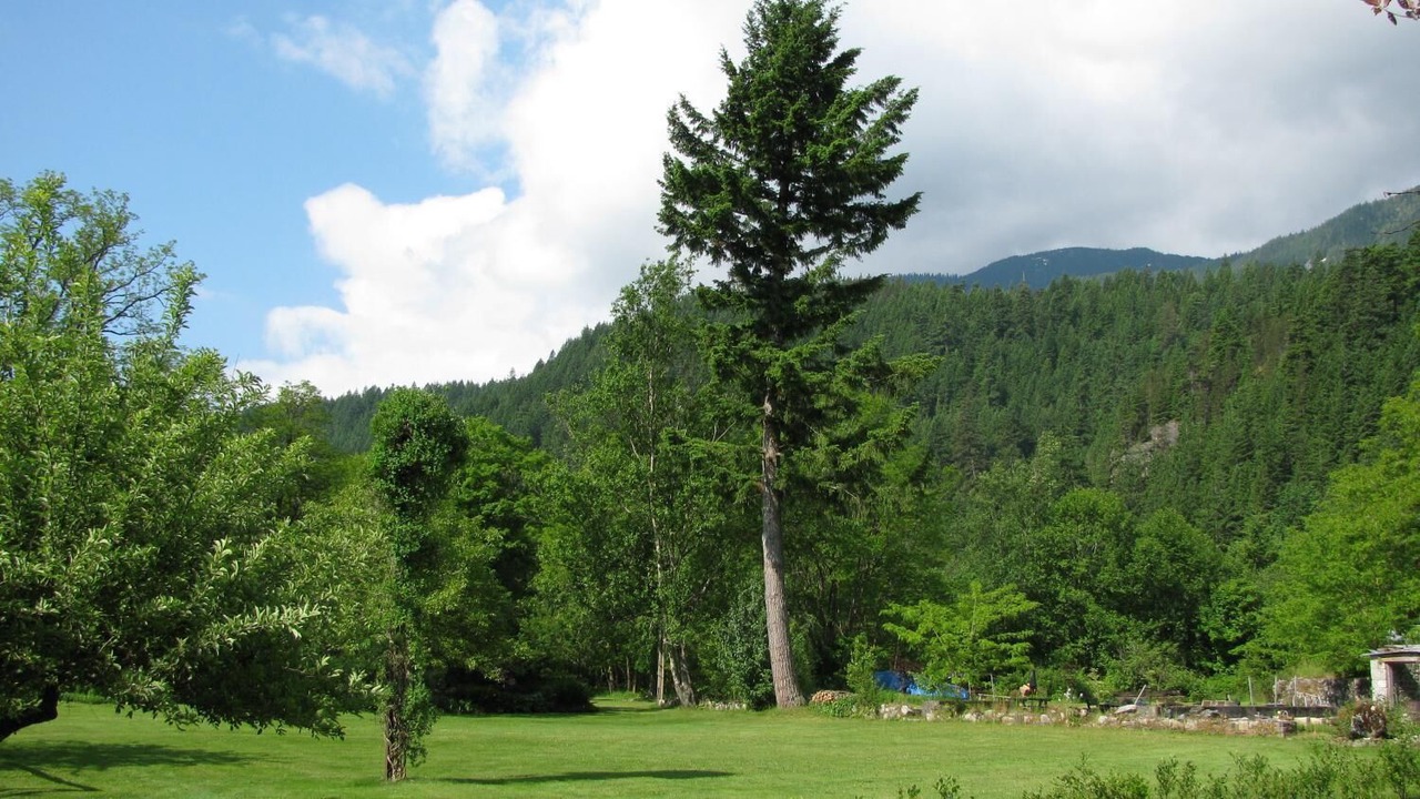 Photo of Outdoor in Agassiz