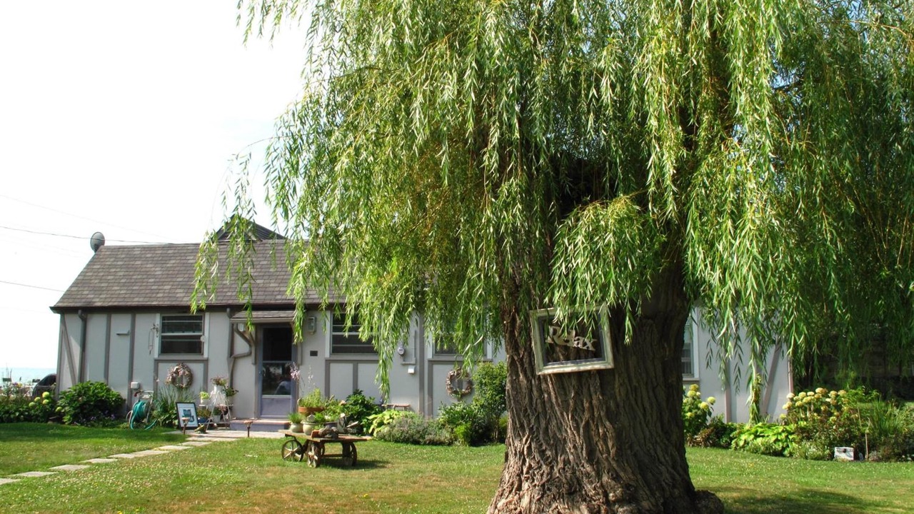 Photo of Outdoor in Wheatley