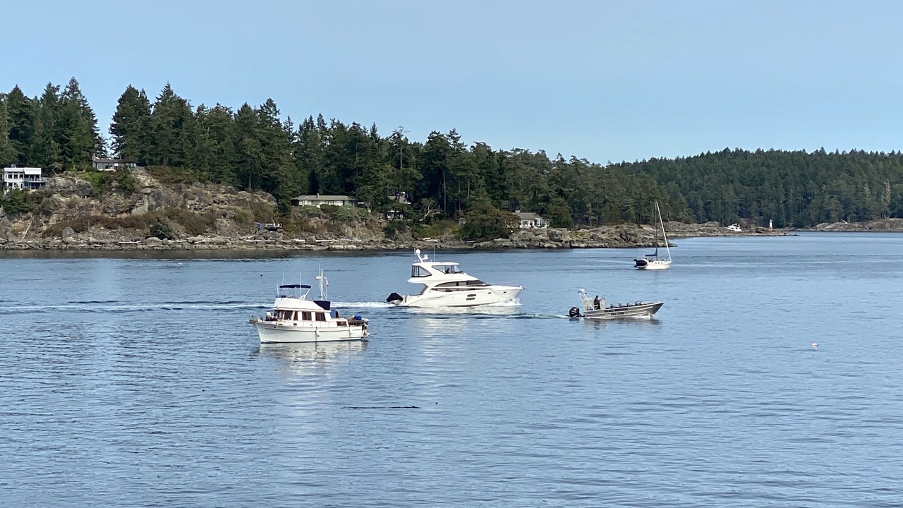 Photo of Others in Sidney