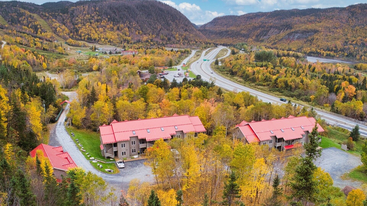 Photo of Outdoor in Steady Brook