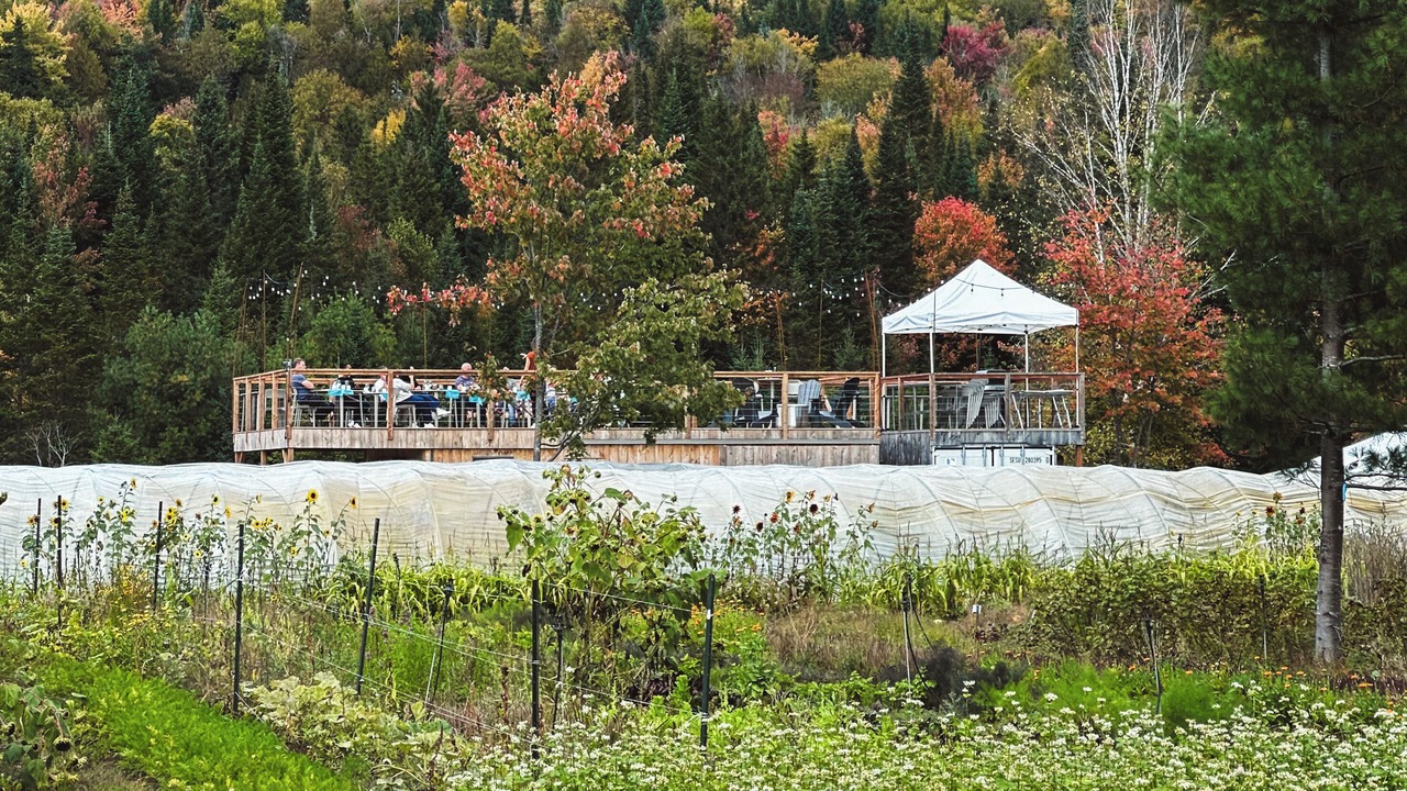 Photo of Outdoor in Lac-Superieur