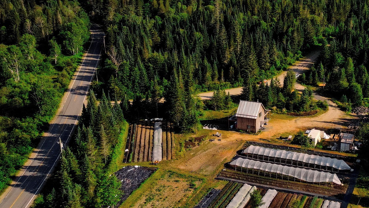 Photo of Outdoor in Lac-Superieur