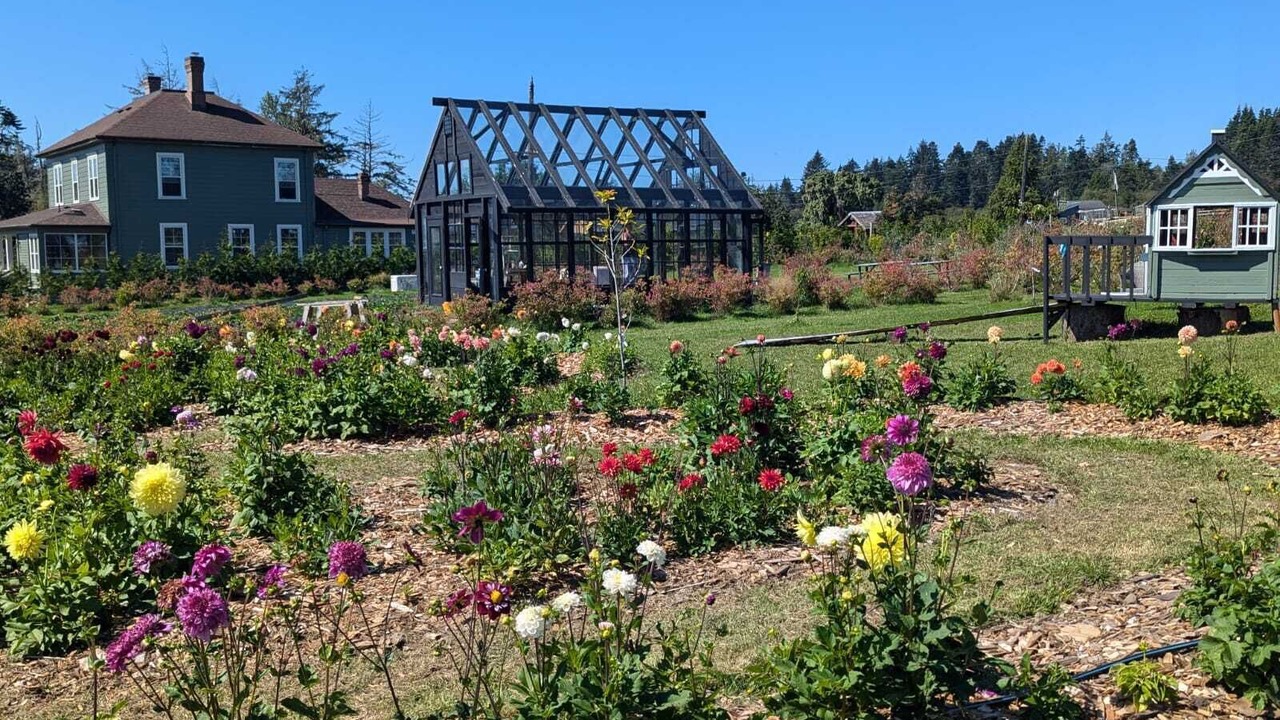 Photo of Outdoor in Sooke