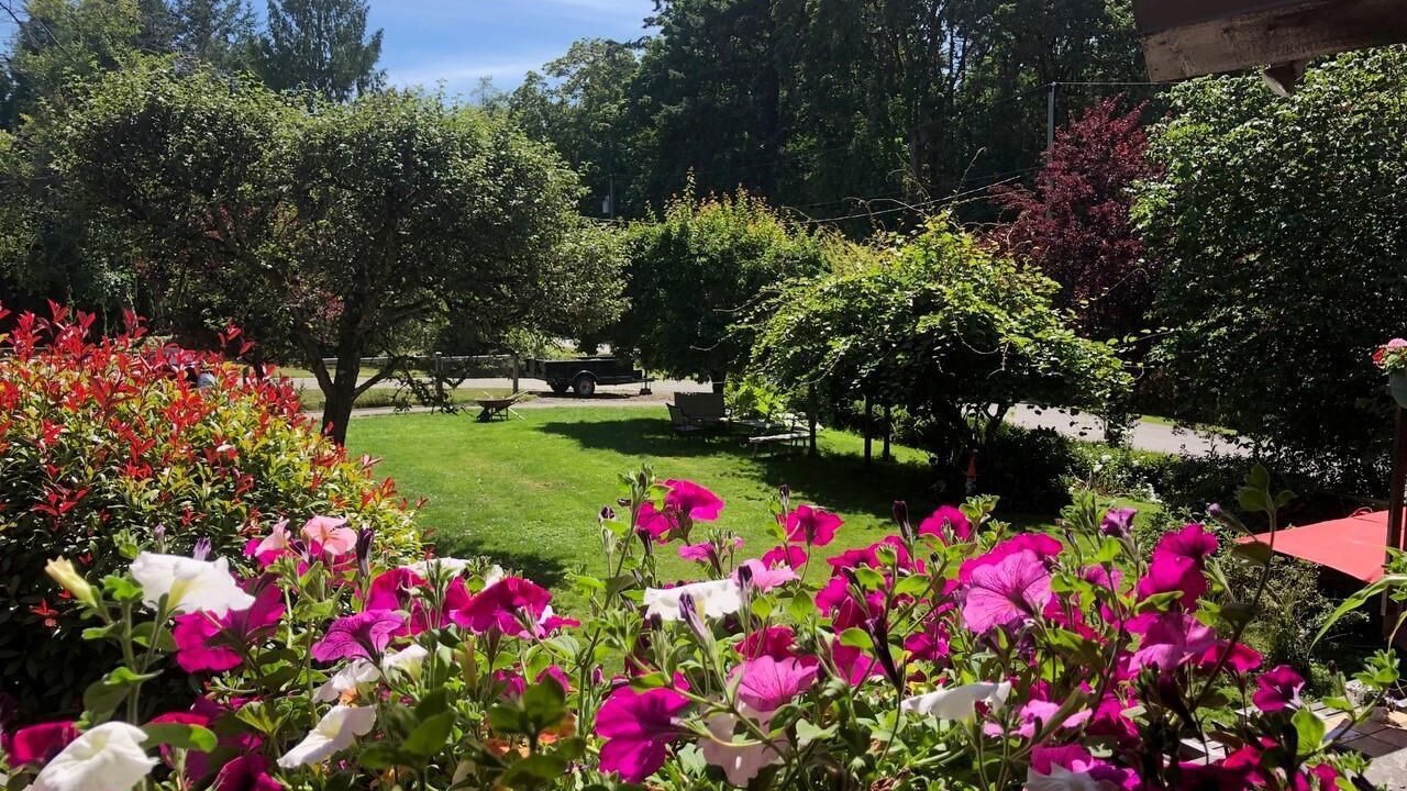 Photo of Outdoor in North Saanich