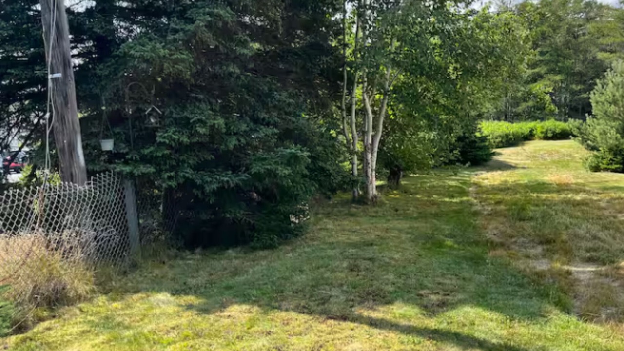 Photo of Outdoor in Bay Roberts
