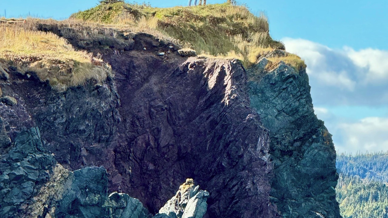 Photo of Others in Terra Nova