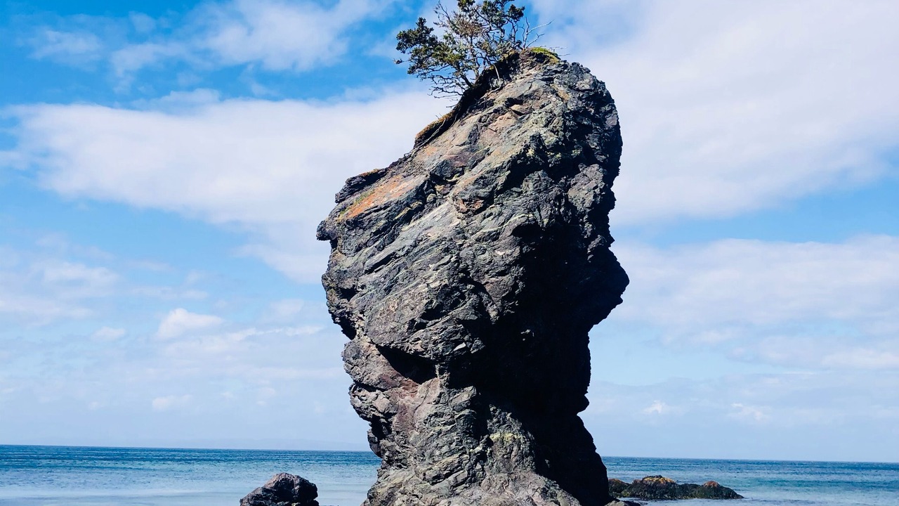 Photo of Others in Terra Nova