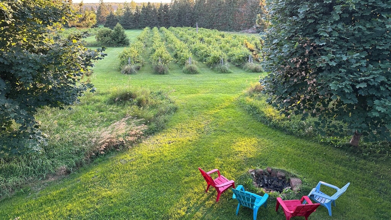 Photo of Outdoor in Pinette