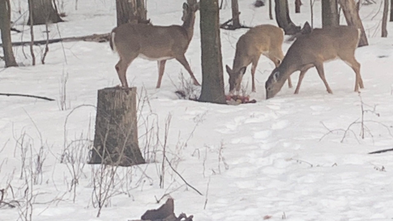 Photo of Others in Cantley