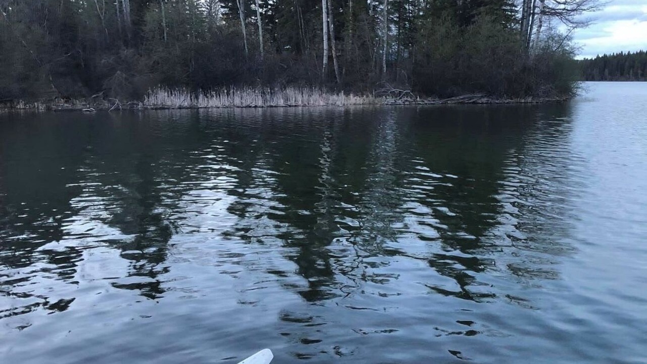Photo of Others in Bridge Lake