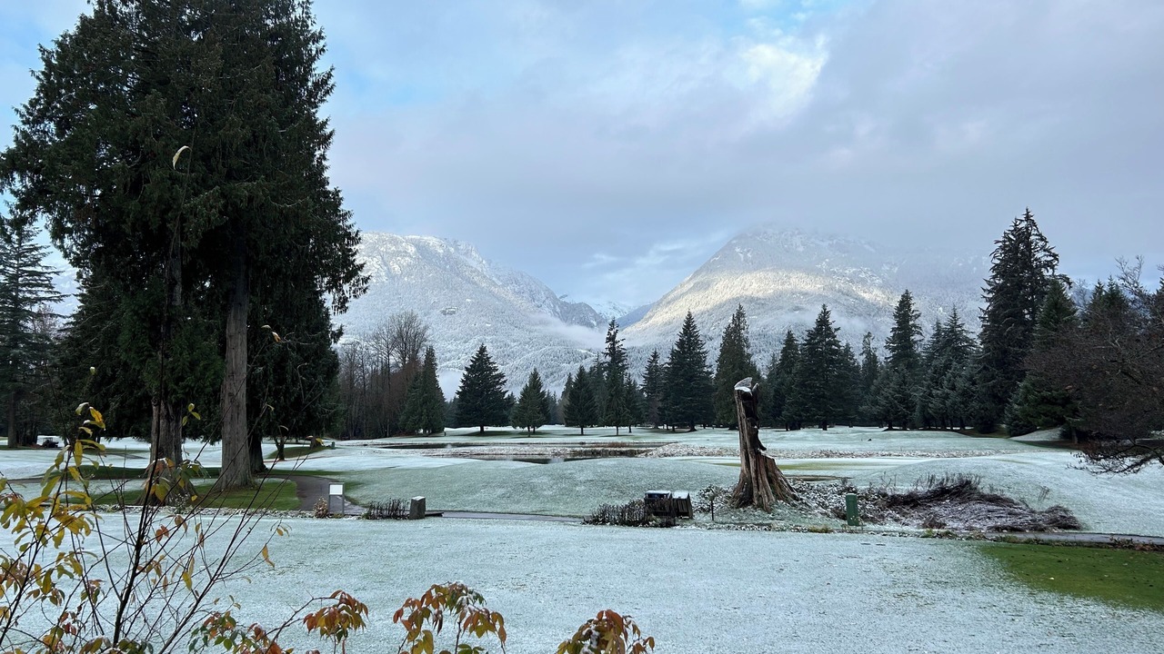 Photo of Others in Garibaldi Highlands
