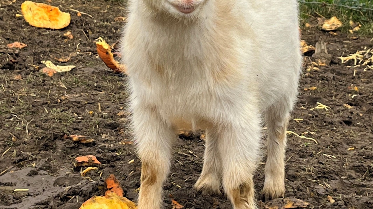 Photo of Others in Burlington