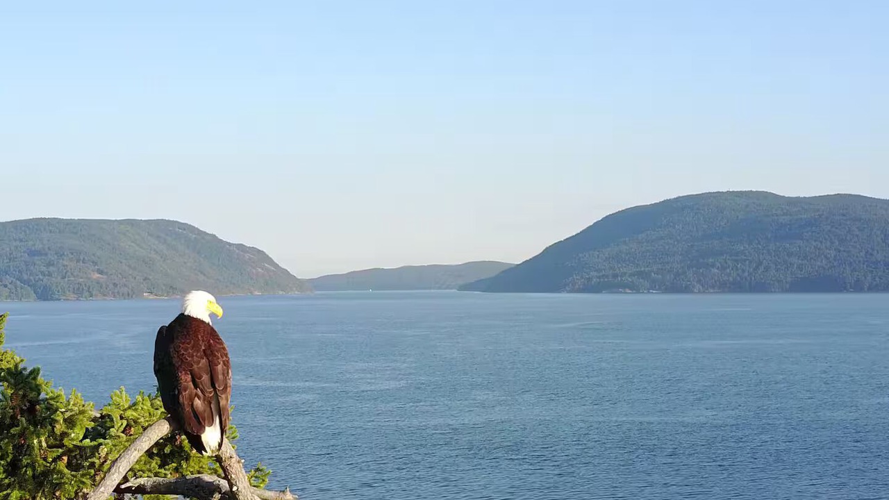 Photo of Others in Salt Spring Island