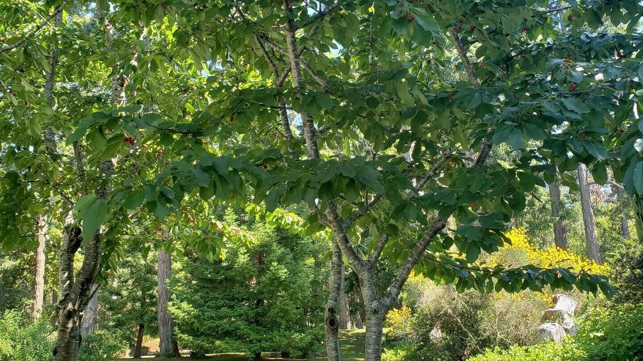 Photo of Outdoor in Salt Spring Island