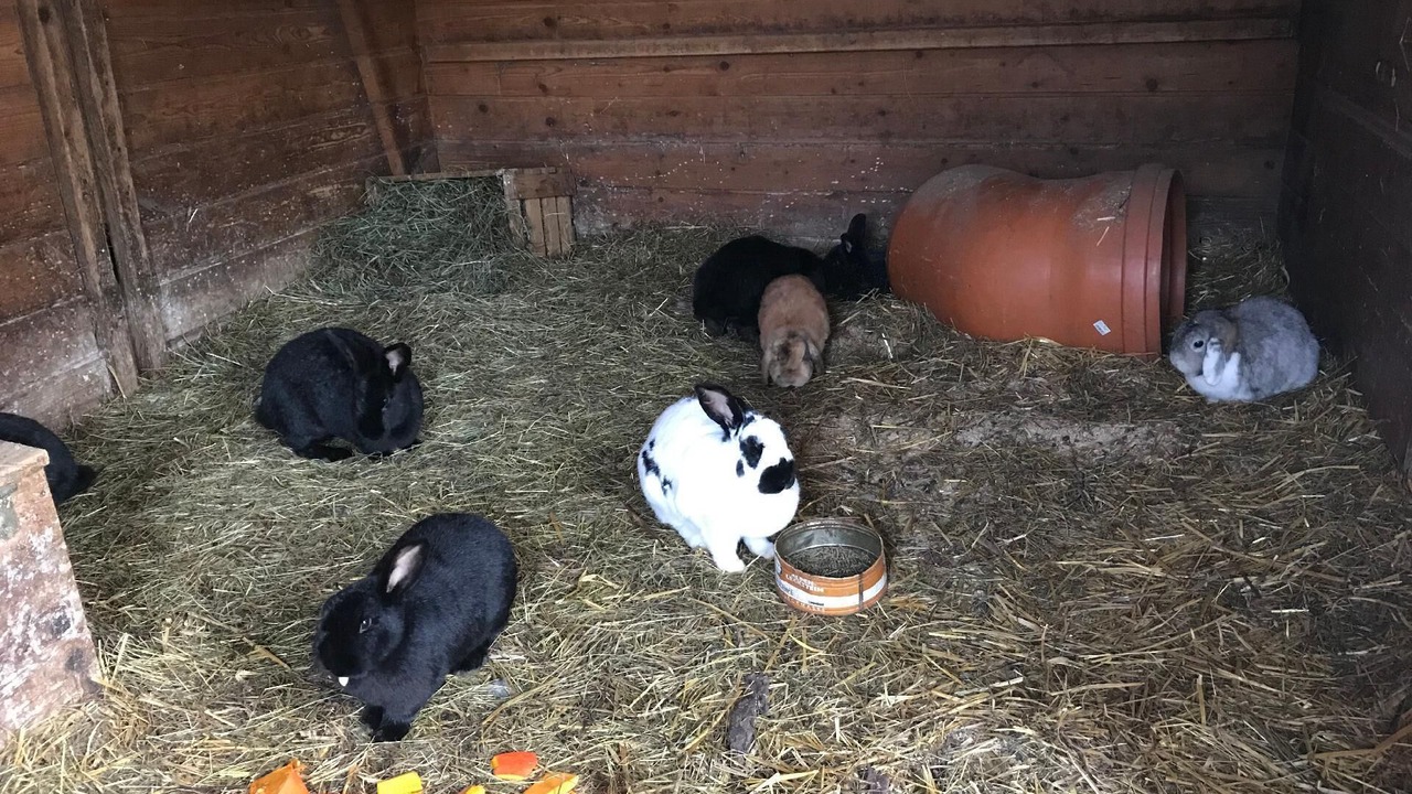 Photo of Others in Bichlbach
