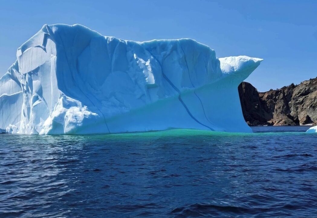 Photo of Others in Twillingate