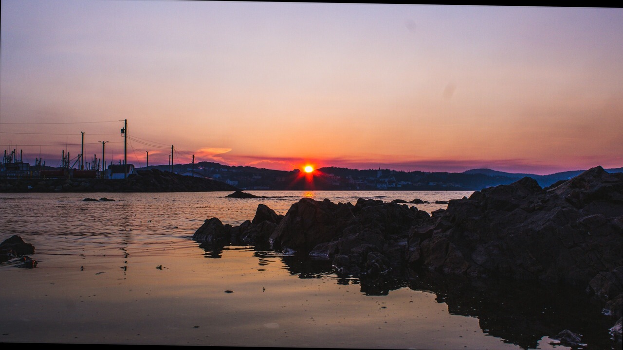 Photo of Others in Twillingate