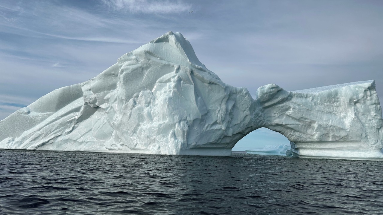 Photo of Others in Twillingate