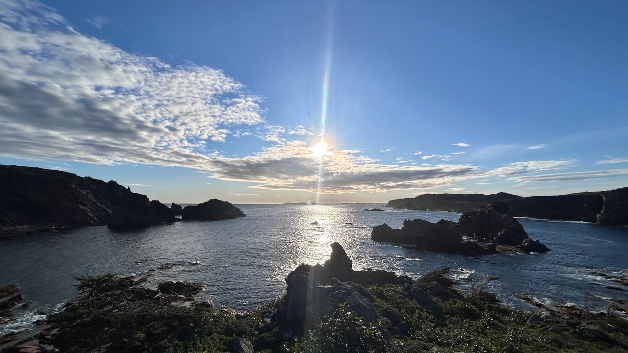 Photo of Others in Twillingate