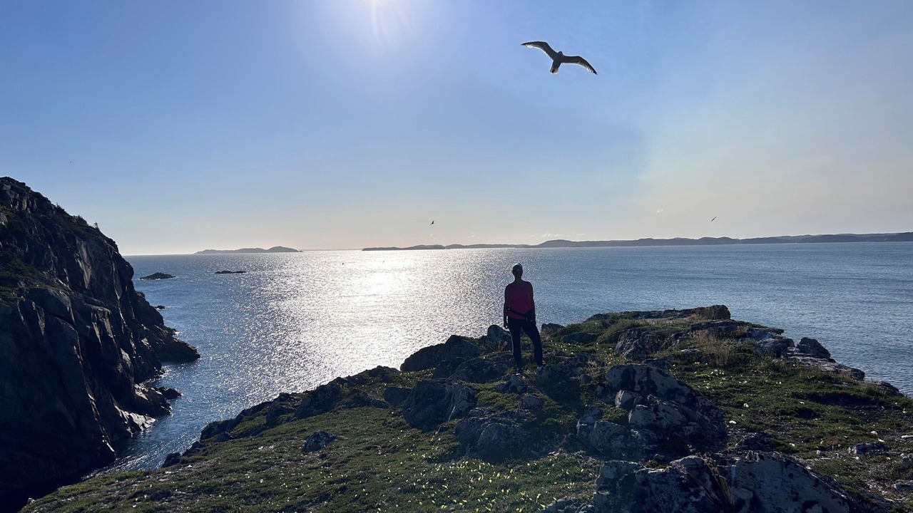Photo of Others in Twillingate