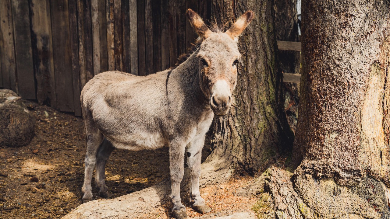 Photo of Others in Highlands