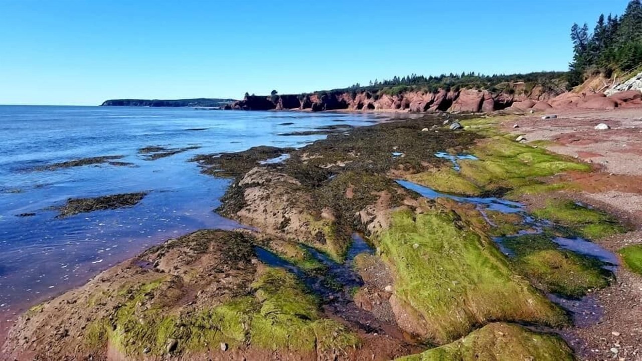 Photo of Others in St. Martins