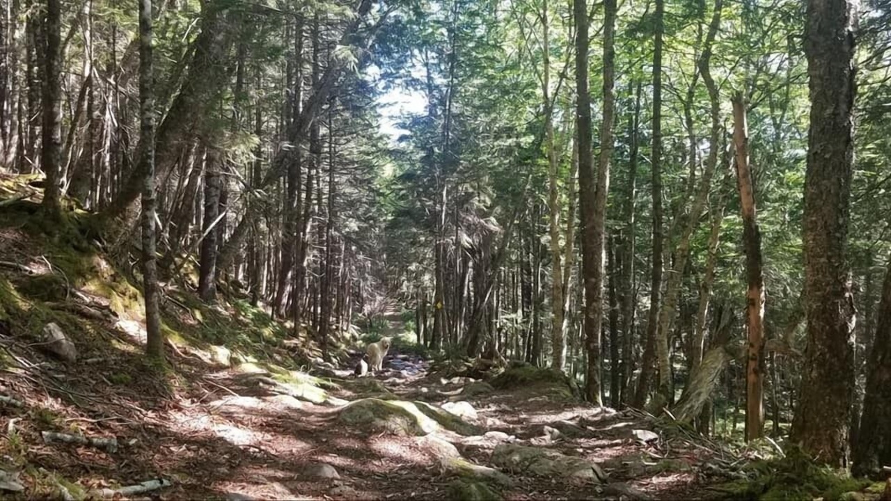 Photo of Others in St. Martins