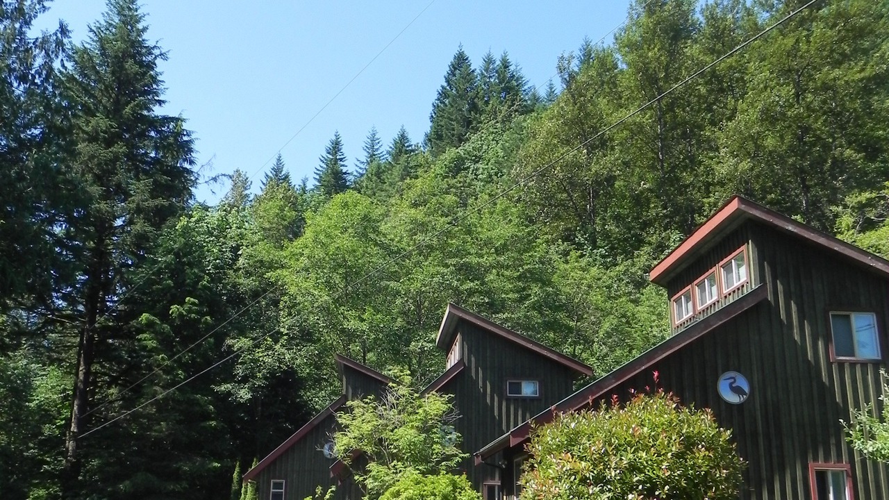 Photo of Buildings in Cultus Lake