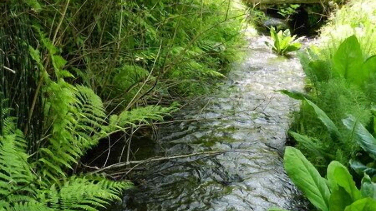 Photo of Outdoor in Cultus Lake