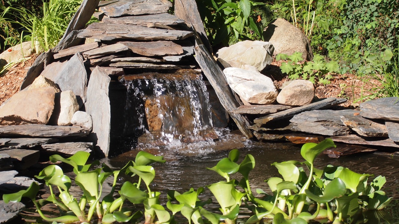 Photo of Outdoor in Magog