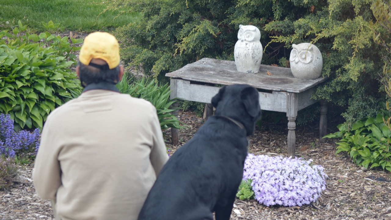 Photo of Outdoor in Leamington