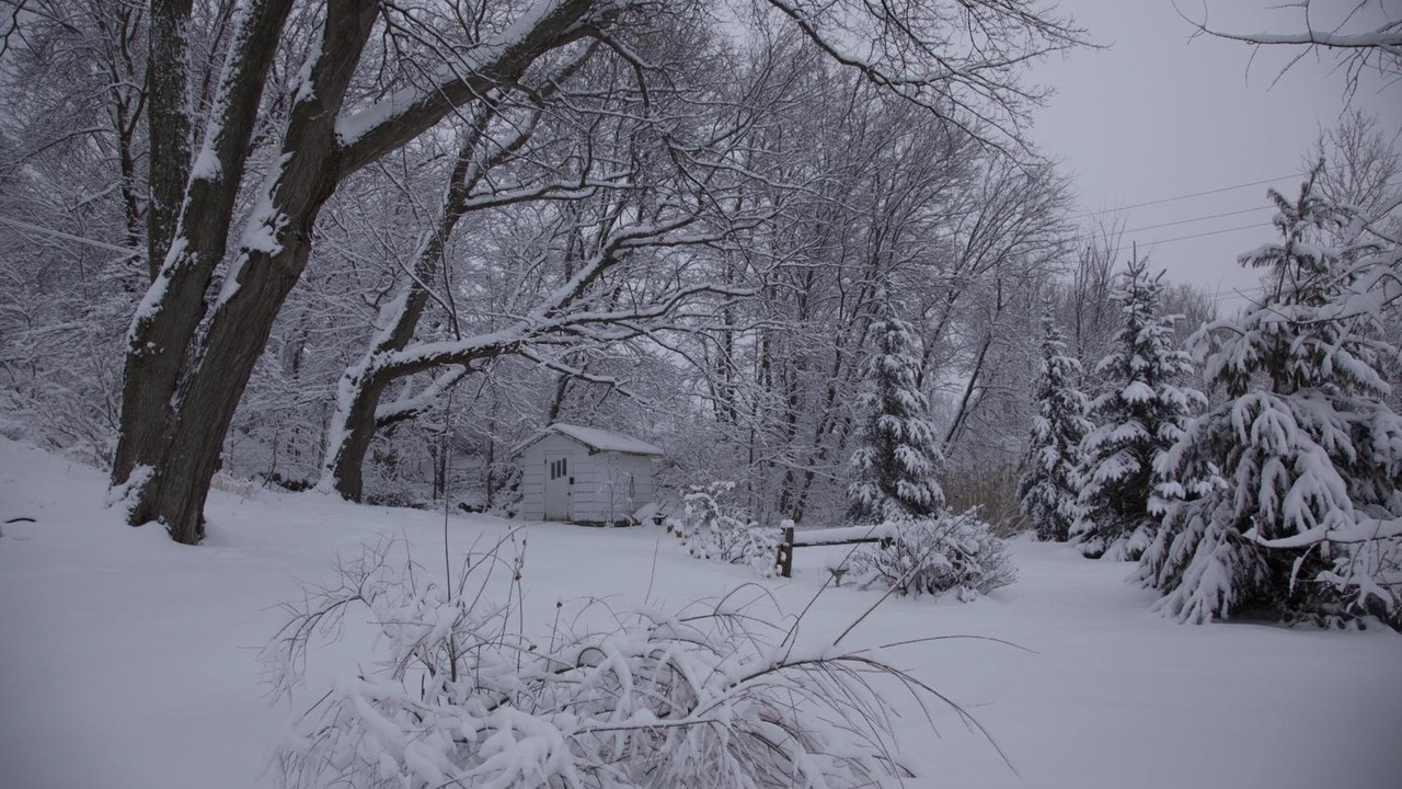 Photo of Outdoor in Cowansville