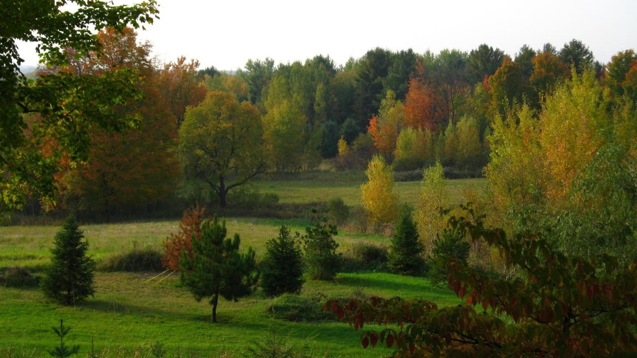 Photo of Outdoor in Cowansville