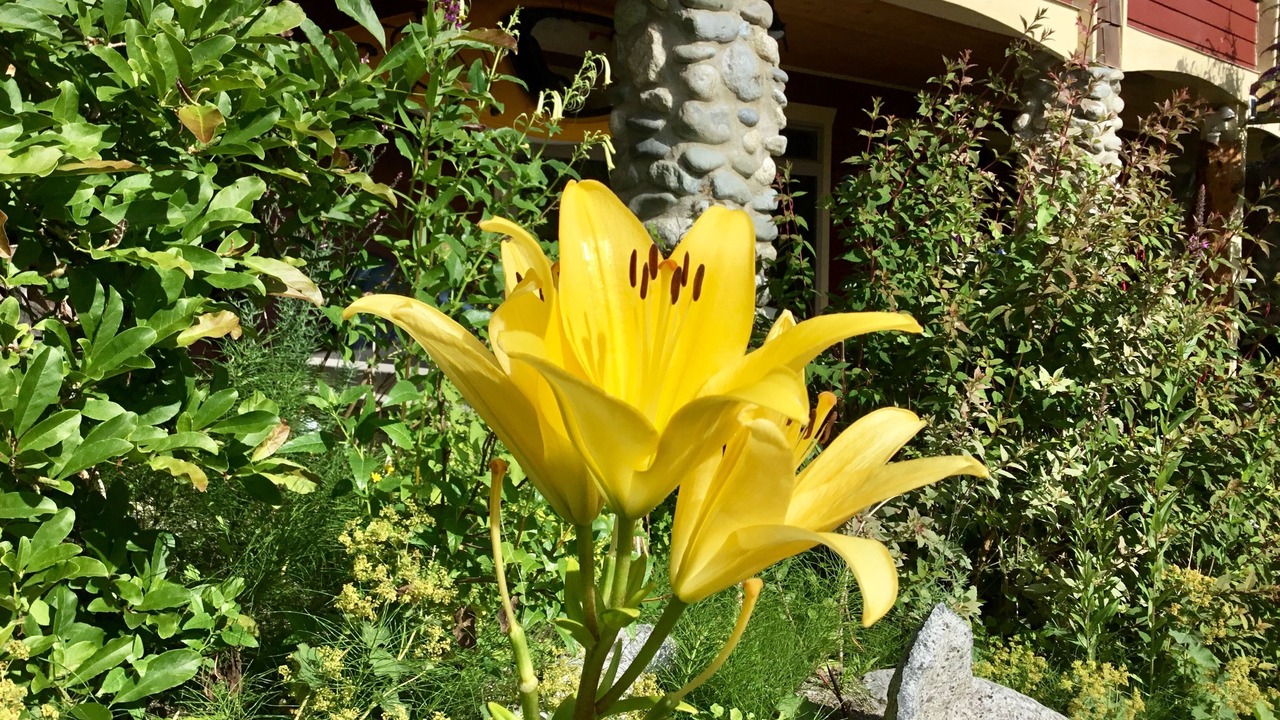 Photo of Outdoor in Tuwanek