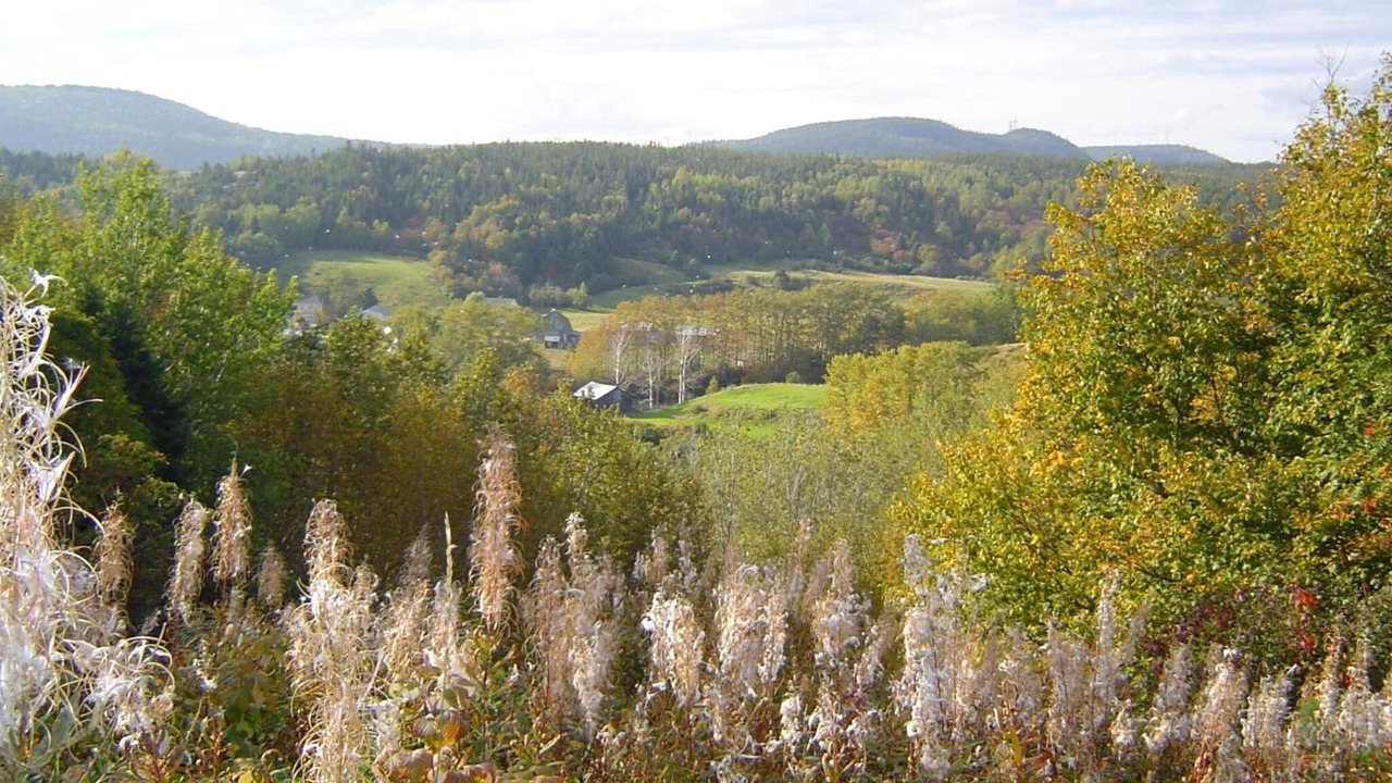 Photo of Outdoor in Grandes-Bergeronnes