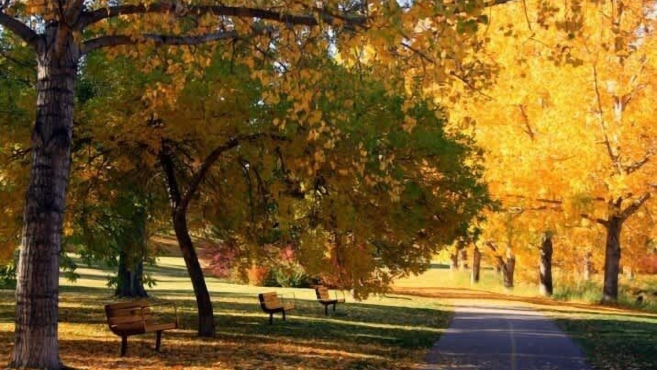 Photo of Others in Northwest Calgary
