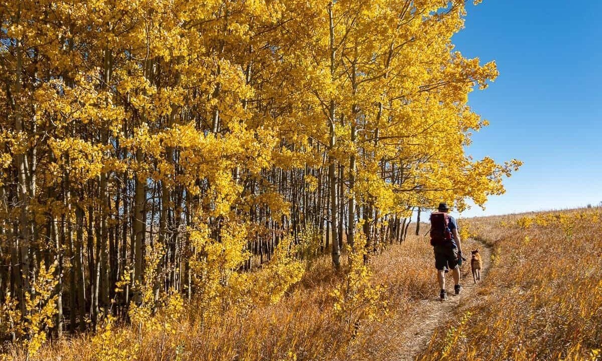 Photo of Others in Northwest Calgary