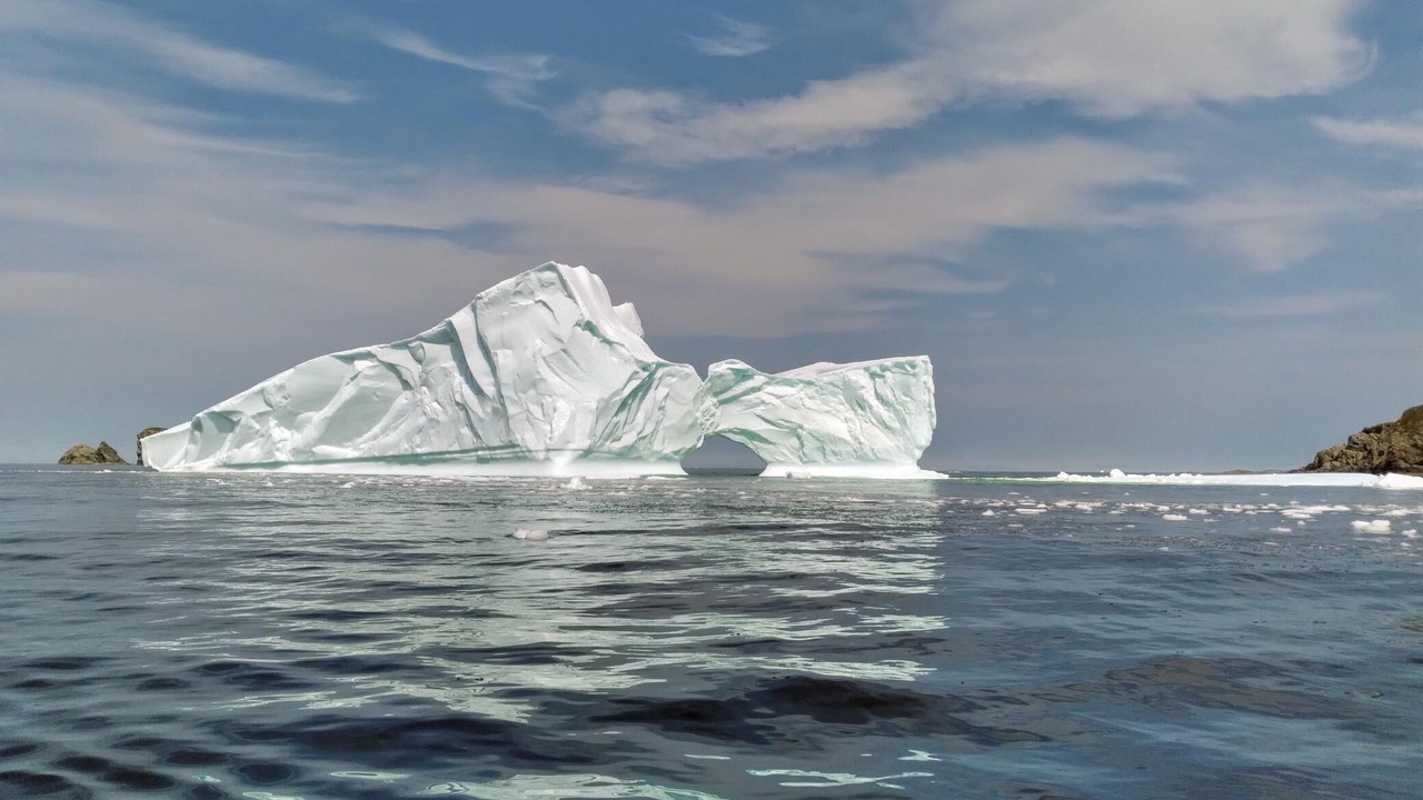Photo of Others in Twillingate