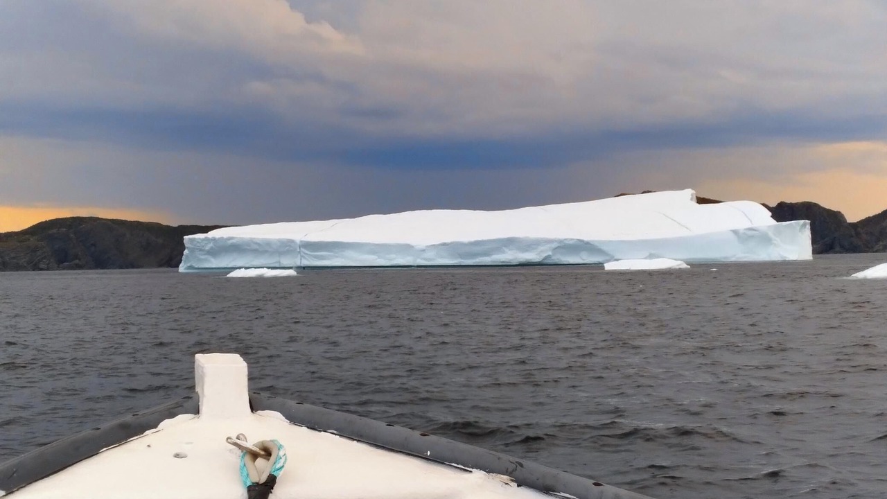 Photo of Others in Twillingate