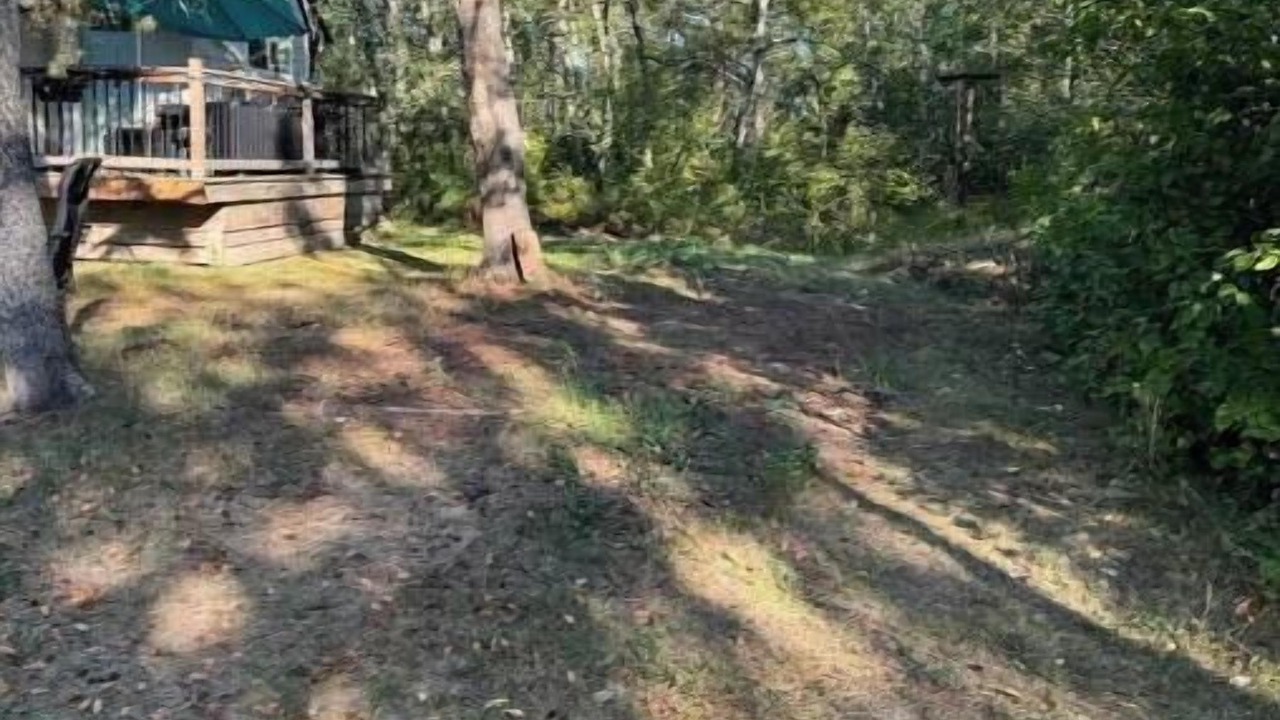 Photo of Outdoor in Sherwood Park