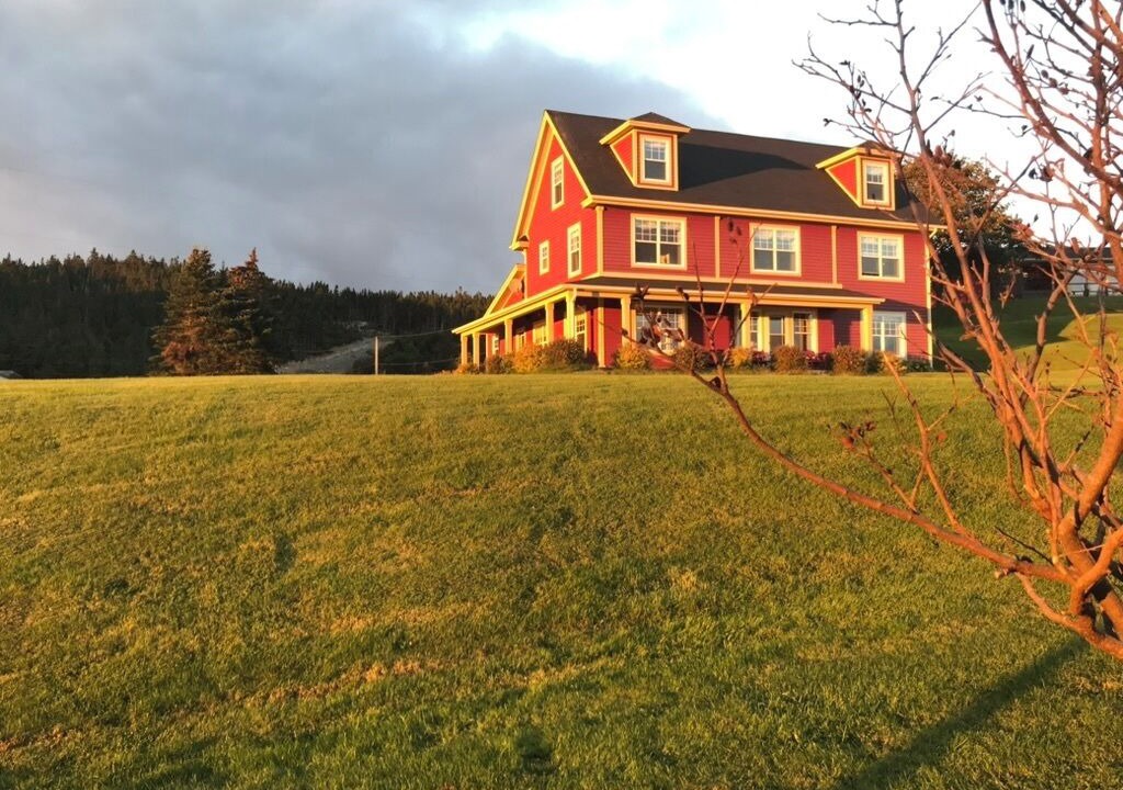 Photo of Outdoor in Bay Bulls
