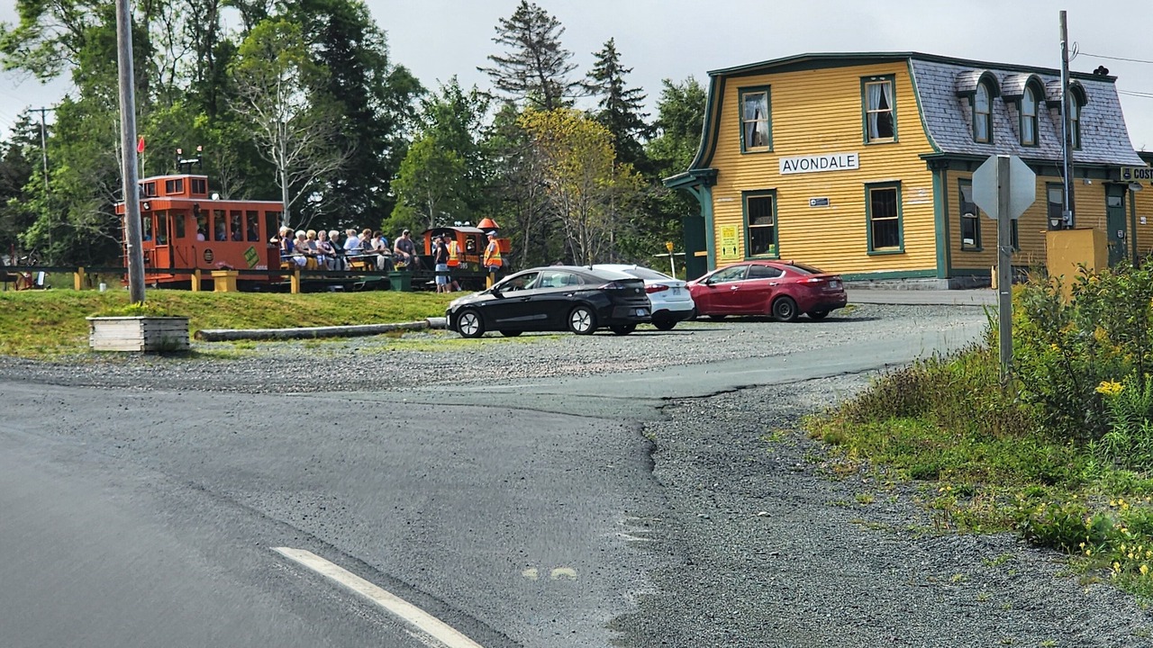 Photo of Others in Quidi Vidi